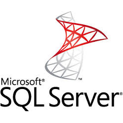 TX SQL Server Administrator